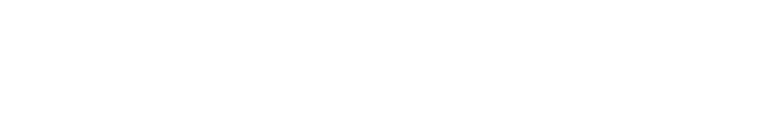 Elevation Technology Solutions
