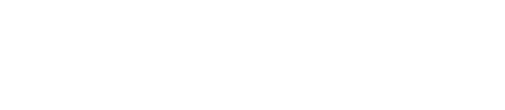 Elevation Technology Solutions