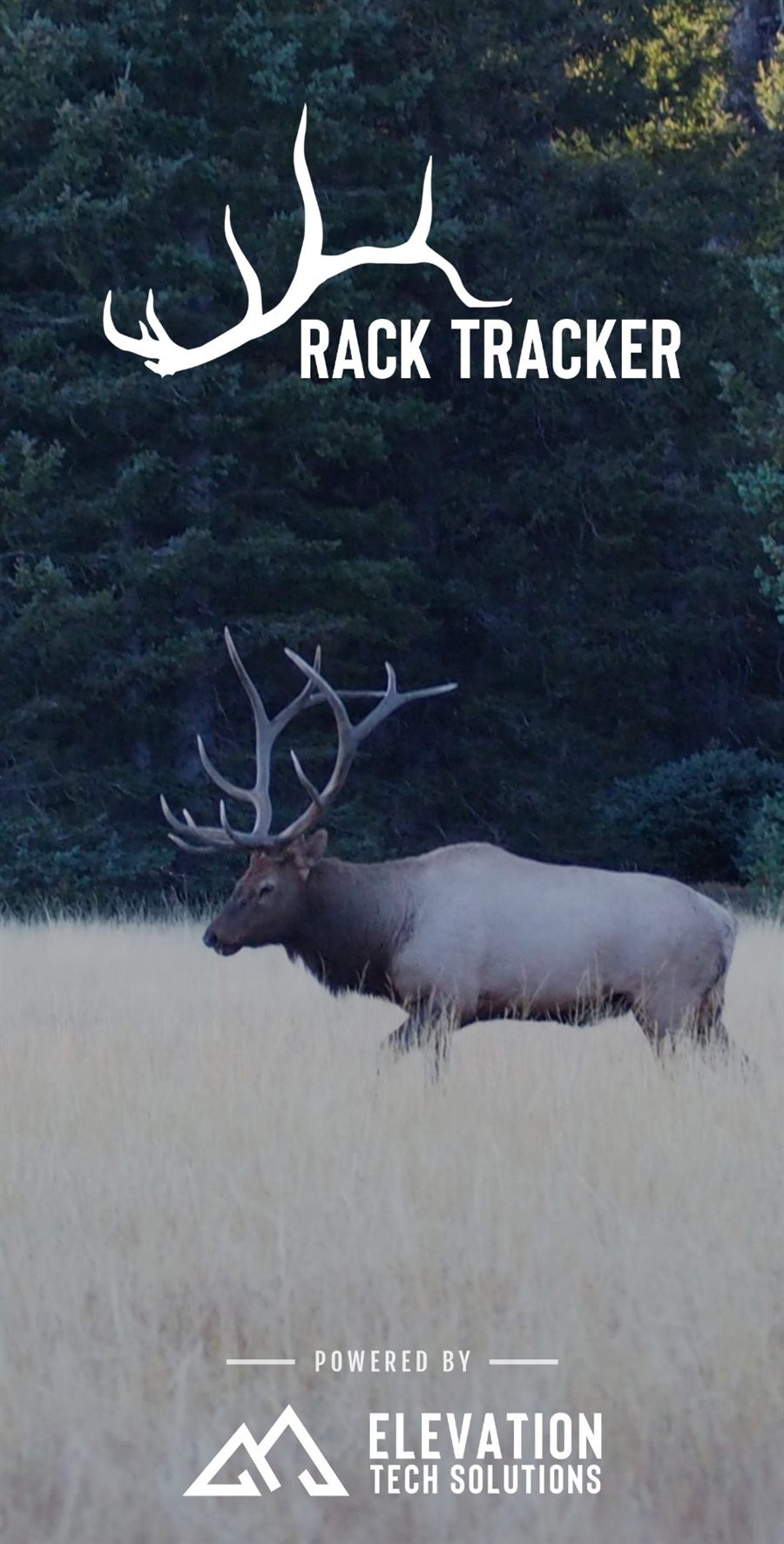 Rack Tracker: a bull elk in a meadow beneath the Rack Tracker logo