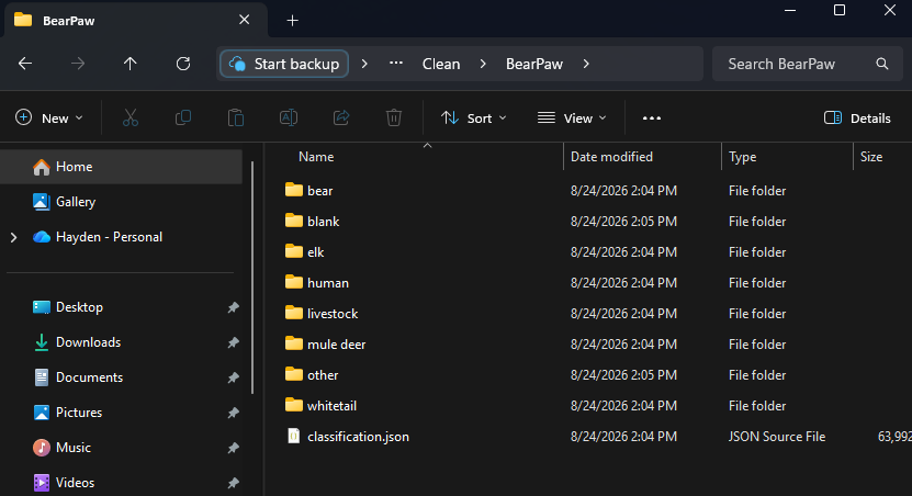 A Windows Explorer window showing the output folder for a camera named BearPaw, containing folders named bear, blank, elk, human, livestock, mule deer, other and whitetail, alongside a classification.json file